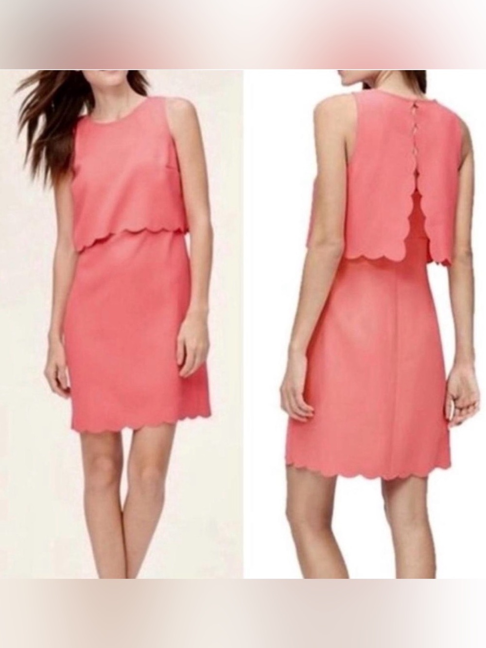 LOFT Coral Scallop Sheath Dress